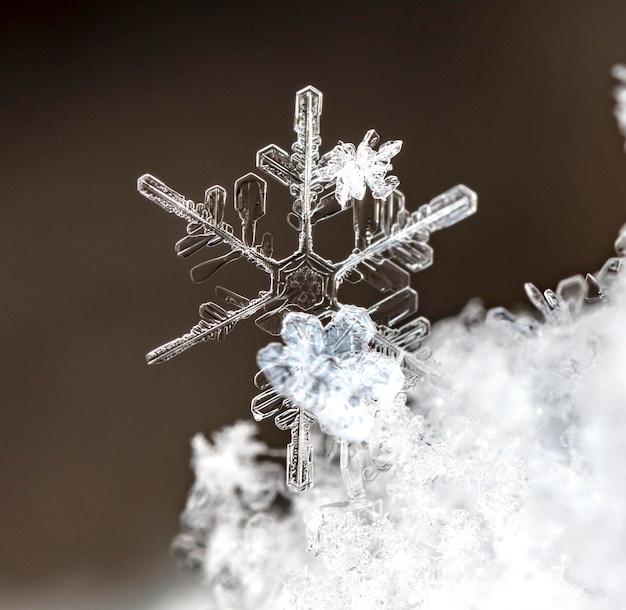 Schnee im Winter Nahaufnahme Makro-Bild von Schneeflocken Winterurlaub Hintergrund