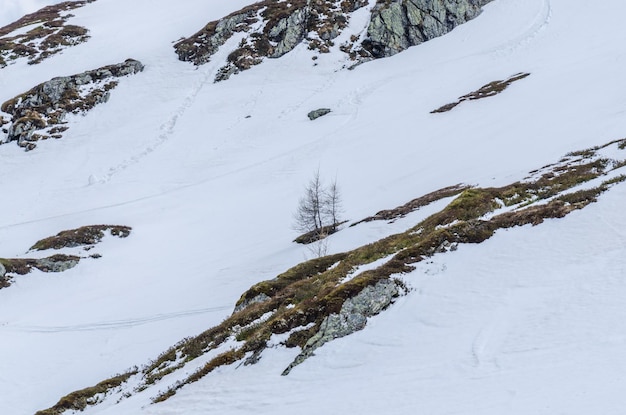 Schnee in den Bergen