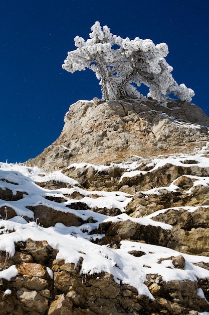 Schnee in den Bergen