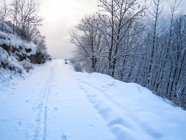 Foto schnee in den italienischen alpen schöne aussicht auf das idyllische dorf im verschneiten wald und die schneebedeckten berggipfel piemont italien