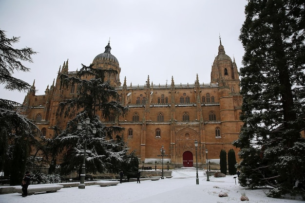 Foto schnee in der stadt salamanca, spanien, ist ein sehr seltenes ereignis