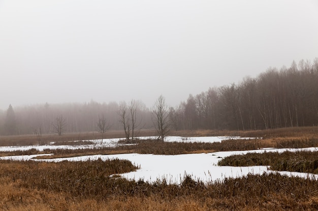 Schnee treibt auf dem See