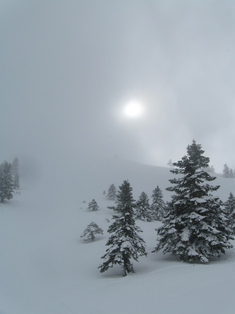 Schnee überall