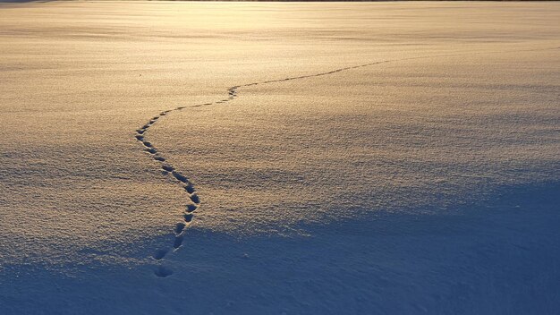 Foto schneeansicht im winter