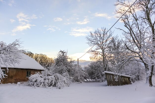 Schneebedeckte Äste an einem Wintertag mit einem Boulderhaus und einem Strommast gegen ein Blau