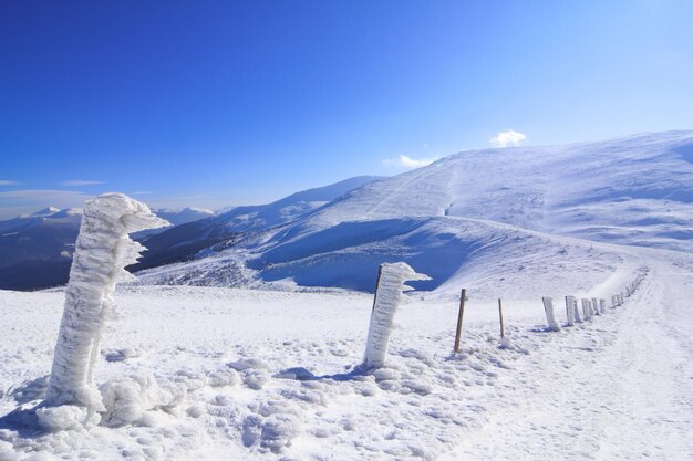 Schneebedeckte Aussicht in den Karpaten