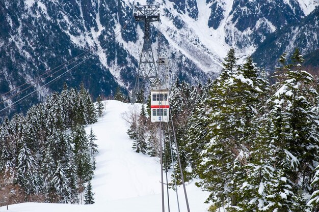 Foto schneebedeckte bäume und berge gegen den himmel