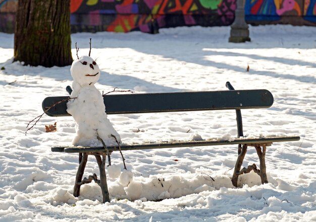 Schneebedeckte Bäume