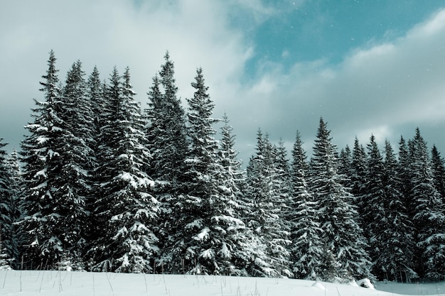 Schneebedeckte Berge im Winter