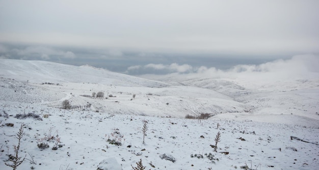 Schneebedeckte Berge Schöne Naturansicht