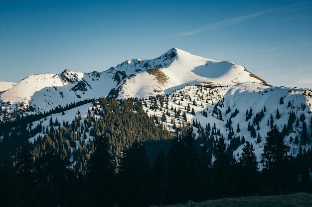 Schneebedeckte Berge und Nadelwald im Winter und Frühling