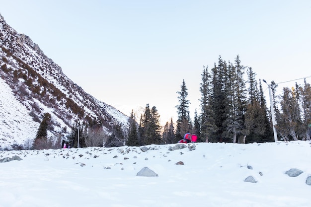 Schneebedeckte Berge und Tannen im Winterpark