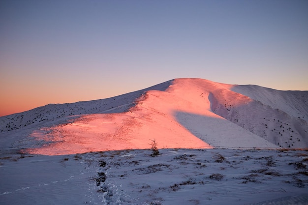 Schneebedeckte Bergkette Licht bei Sonnenuntergang Winterwanderwege in den Karpaten Borzhava Ukraine