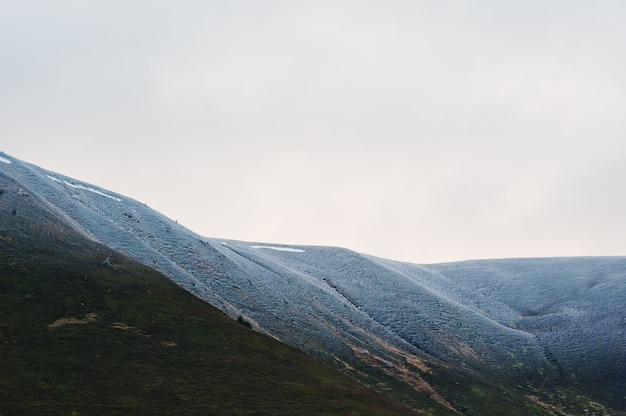 Schneebedeckte Bergspitze mit Bäumen an den Karpatenbergen auf Ukraine, Europa.