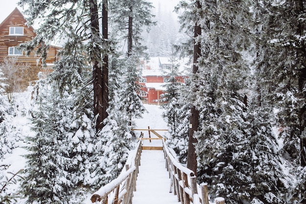 Schneebedeckte Brücke im Waldgebäude im Hintergrund