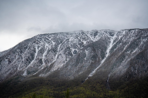 Schneebedeckte Gipfel der Berge der nördlichen Chui-Kette im morgendlichen Altai südlich von Western Sibe