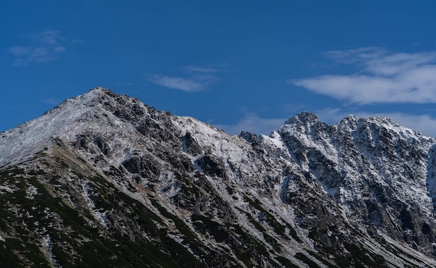Schneebedeckte Gipfel der Bergketten, unglaubliche Tierwelt