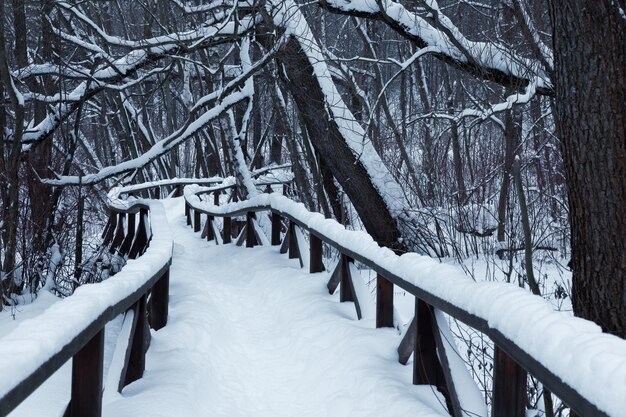 Schneebedeckte Holzbrücke über einen zugefrorenen Fluss, umgeben von dunklen kahlen Bäumen