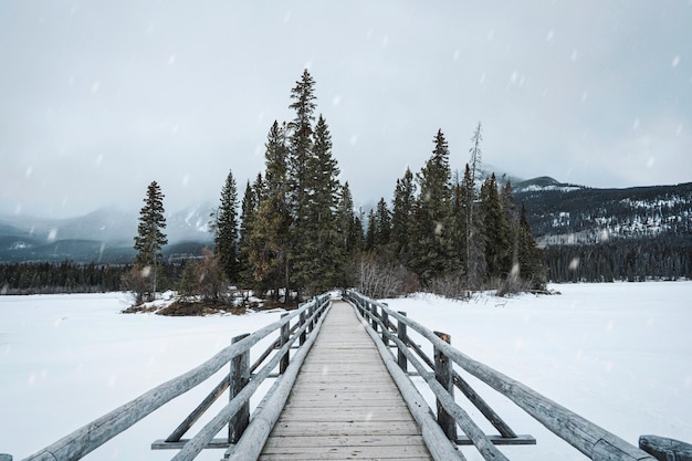 Schneebedeckte Holzbrücke und winziger Kiefernwald am Pyramid Lake im Winter im Jasper-Nationalpark