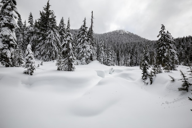 Schneebedeckte kanadische Berglandschaft an einem bewölkten Tag