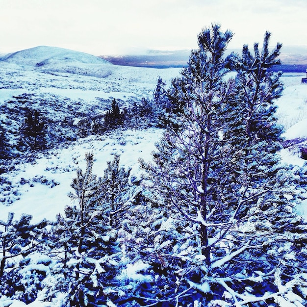 Schneebedeckte Landschaft gegen den Himmel