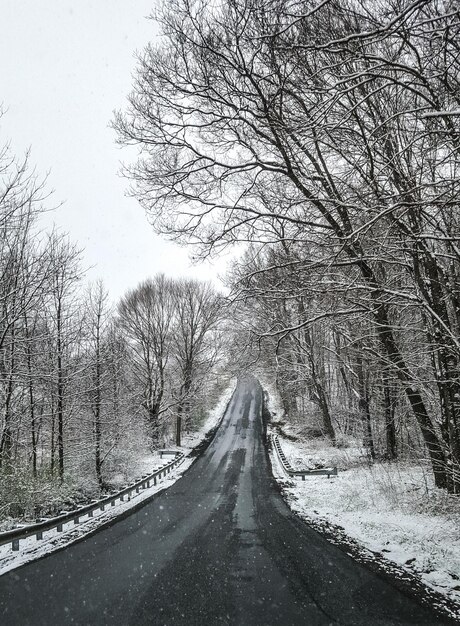 Foto schneebedeckte landschaft