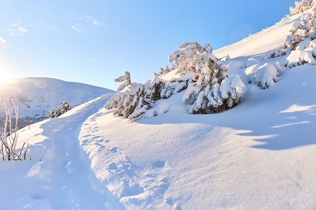 Schneebedeckte Landstraße in den Bergen