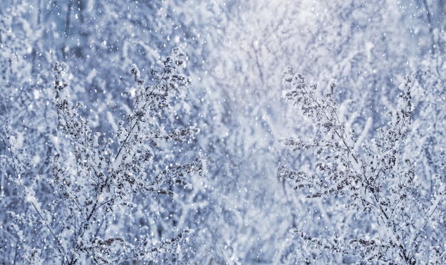 Schneebedeckte Äste von Bäumen und Sträuchern während des Schneefalls bilden ein Wintermuster