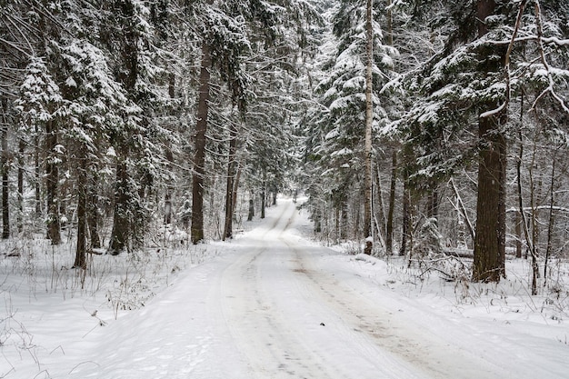 Schneebedeckte Straße im Wald an einem wolkigen Wintertag