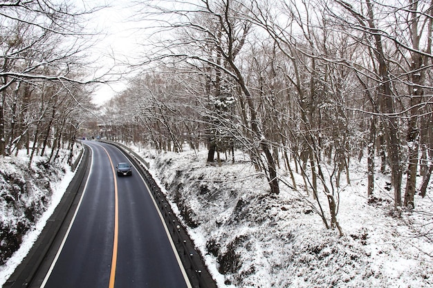 Schneebedeckte Straße inmitten von Bäumen im Winter