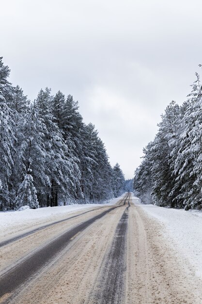 Schneebedeckte Straße