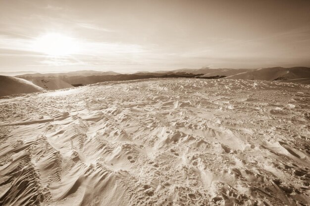 Schneebedeckte Tannen auf dem Hintergrund der Berggipfel Panoramablick auf die malerische verschneite Winterlandschaft