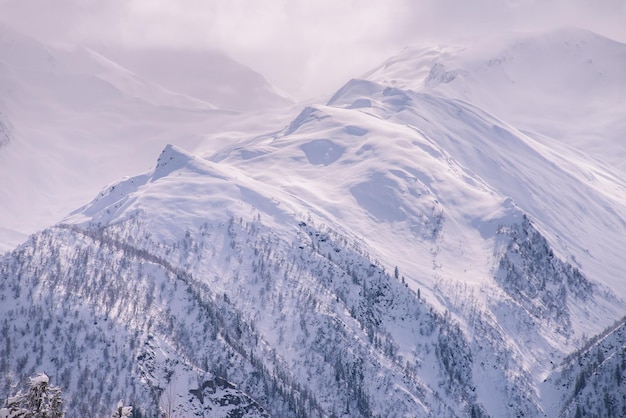 Schneebedeckte und neblige Berge