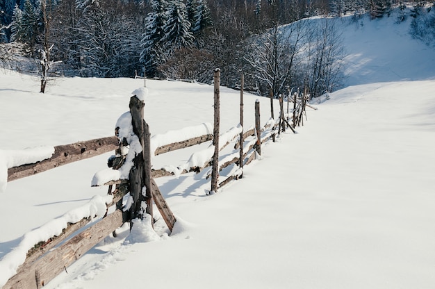 Schneebedeckte Zaunlandschaft Winter sonnige Landschaft