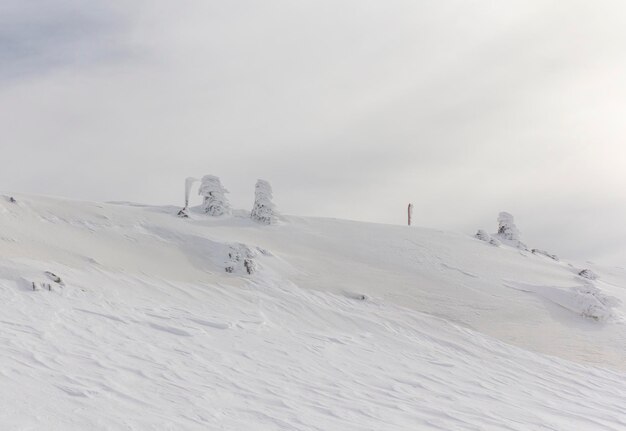 Schneebedeckter Berg Hermon im Winter, Israel