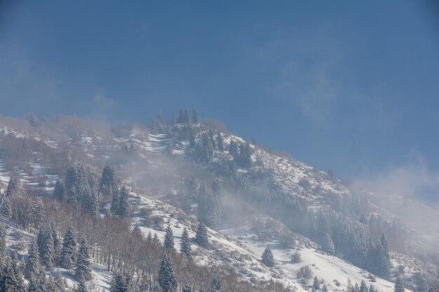 Foto schneebedeckter berg