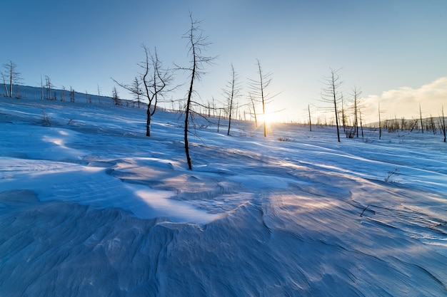 Schneebedeckter Berghang