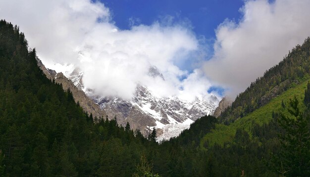 Schneebedeckter Gletscher und Tal