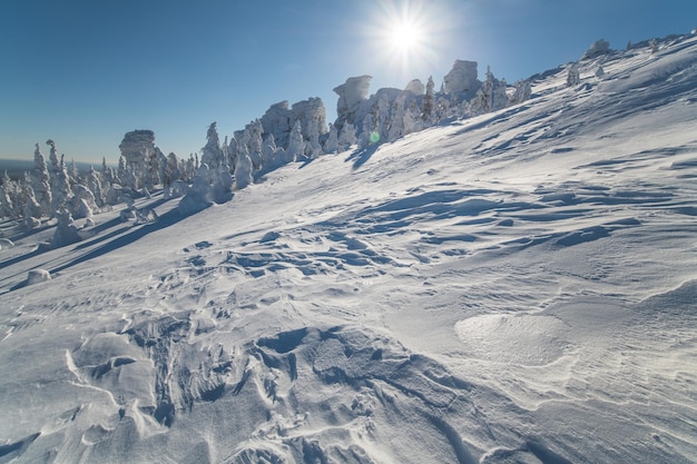Schneebedeckter Hang in den Bergen im kalten Polarwinter an einem sonnigen Tag