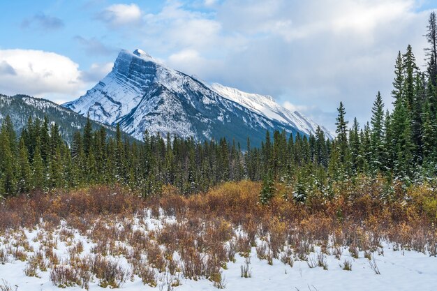 schneebedeckter Mount Rundle mit verschneiten Wäldern Banff Nationalpark Kanadische Rockies Alberta Kanada can