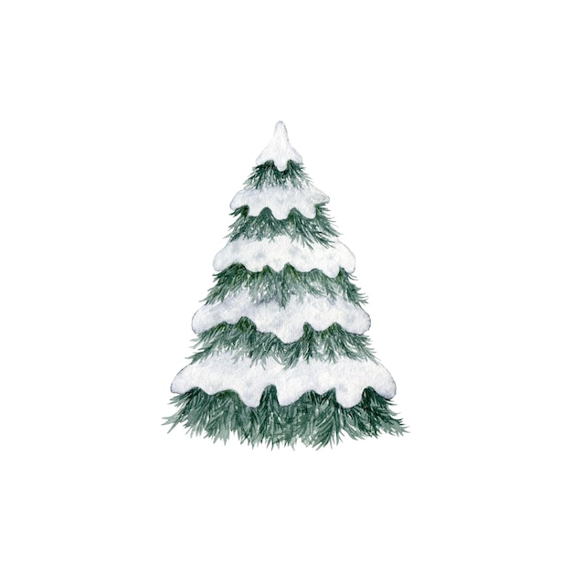 Schneebedeckter Weihnachtsbaum, handgezeichnete Aquarell-Illustration, Waldvorlage, Winter