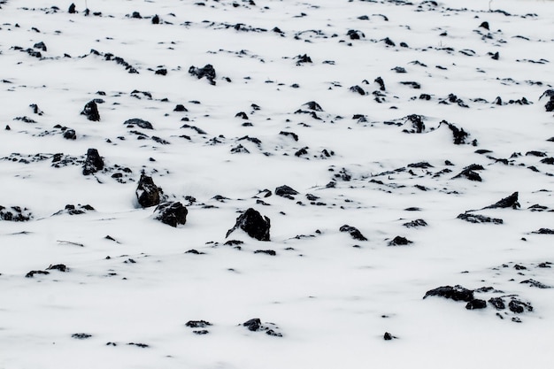 Schneebedecktes Ackerland im Winter