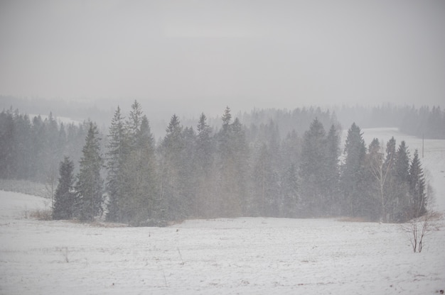 schneebedecktes Bergdorf