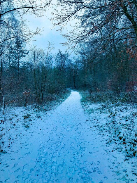 Foto schneebedecktes land gegen den himmel