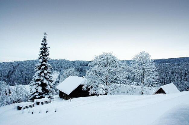 Foto schneebedecktes land gegen klaren himmel