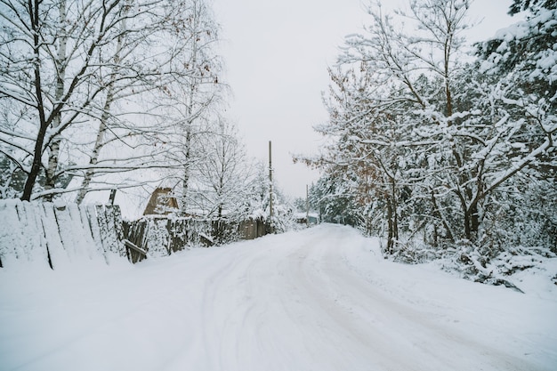 Schneebedecktes russisches Dorf in der Nähe des Waldes