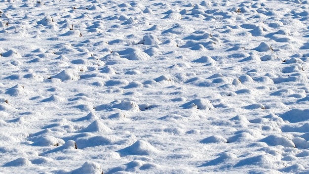 Schneebeschaffenheit, die das Gras bei sonnigem Wetter bedeckt