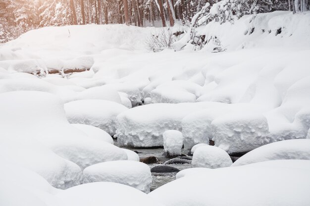 Schneefall auf dem Fluss im Winterwald. Schöne Winterlandschaft.