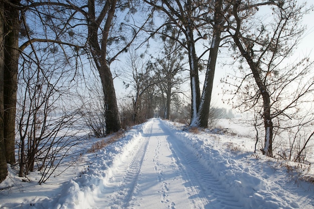 Schneefall im Winter