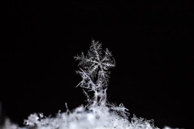 Schneeflocke auf natürlicher Schneewehe hautnah Weihnachten und Winter Hintergrund